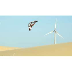 Planche de kitesurf Eleveight Process C+ v4