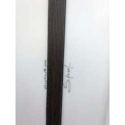 NOMADS Surf Fish BALER