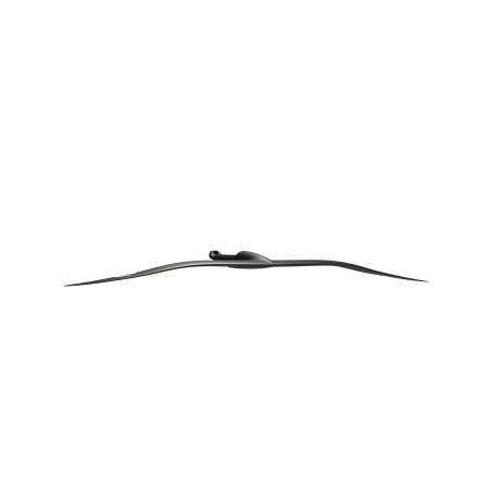 DUOTONE BLITZ D/Lab 2025 Frontwing