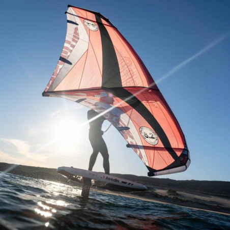 REEDIN SUPERNATURAL SSD 2025