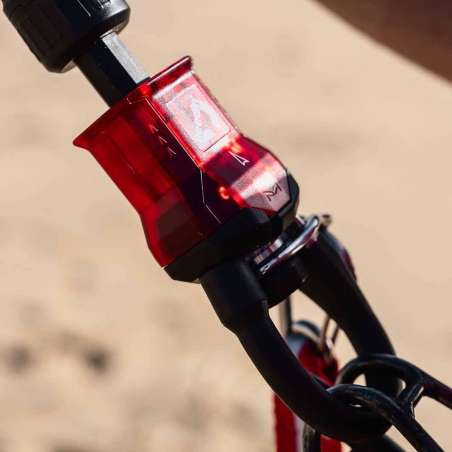 REEDIN DREAMSTICK X 2025