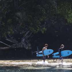 DUOTONE BEARING 2026 – ACCESSOIRE FOIL ASSIST